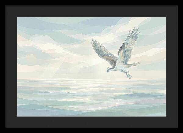 Osprey Diving Into Sparkling Water