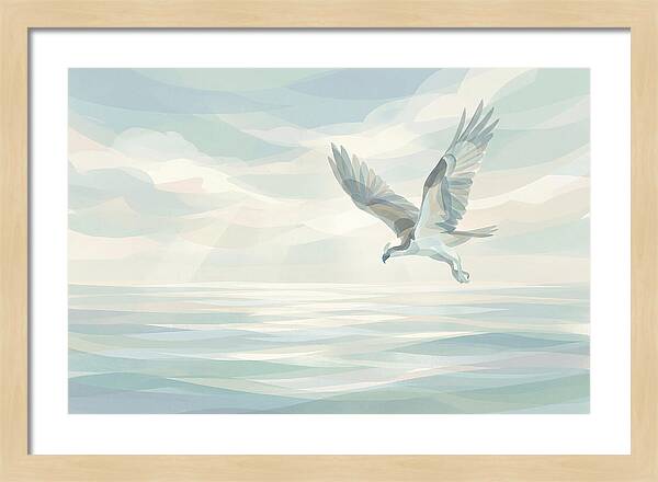 Osprey Diving Into Sparkling Water