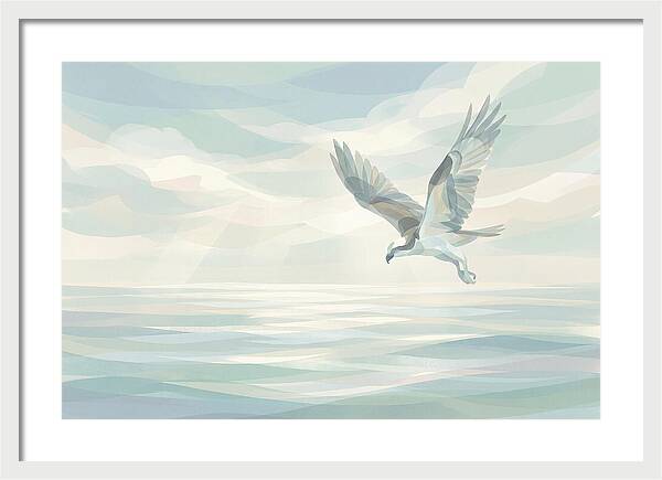 Osprey Diving Into Sparkling Water