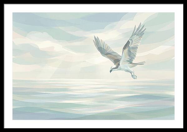 Osprey Diving Into Sparkling Water
