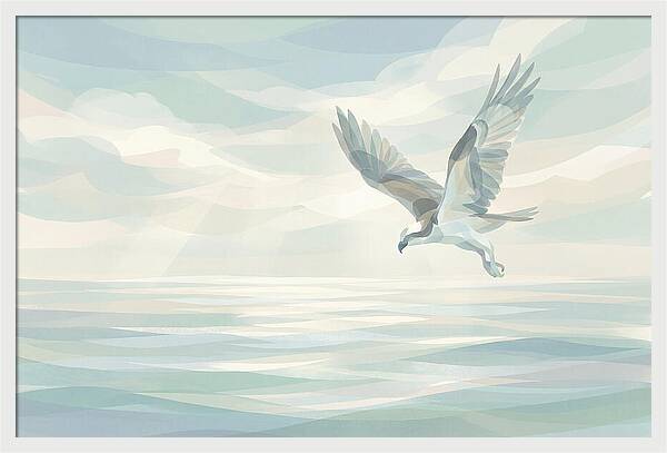 Osprey Diving Into Sparkling Water