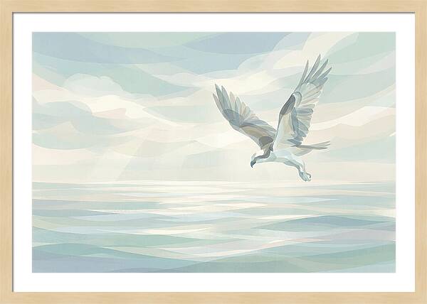 Osprey Diving Into Sparkling Water