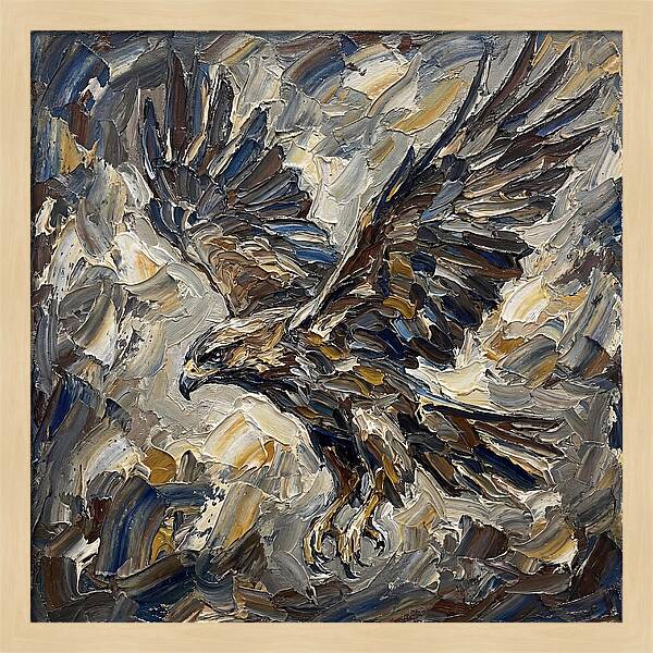 Osprey In Flight