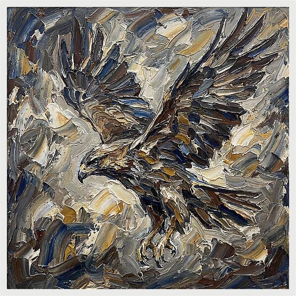 Osprey In Flight
