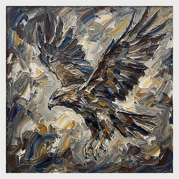 Osprey In Flight