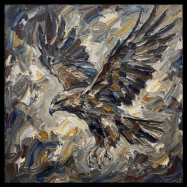 Osprey In Flight