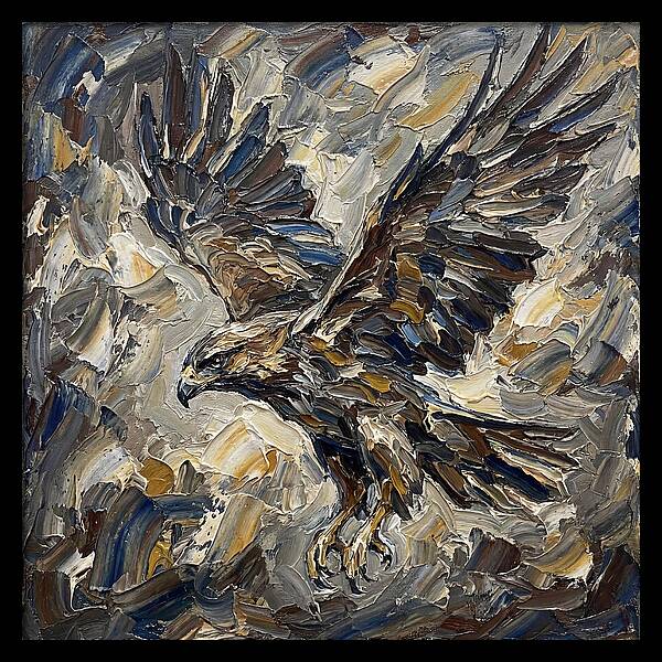 Osprey In Flight