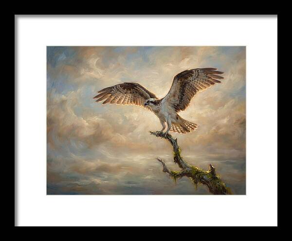 Osprey In Majestic Flight