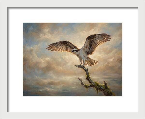 Osprey In Majestic Flight