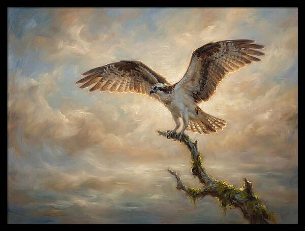 Osprey In Majestic Flight