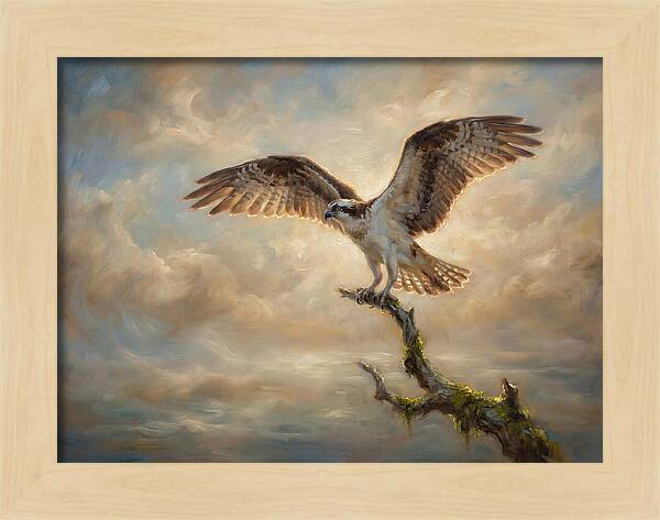 Osprey In Majestic Flight
