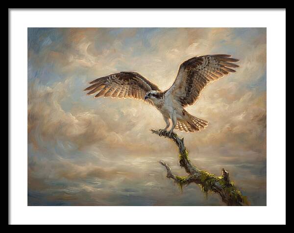 Osprey In Majestic Flight