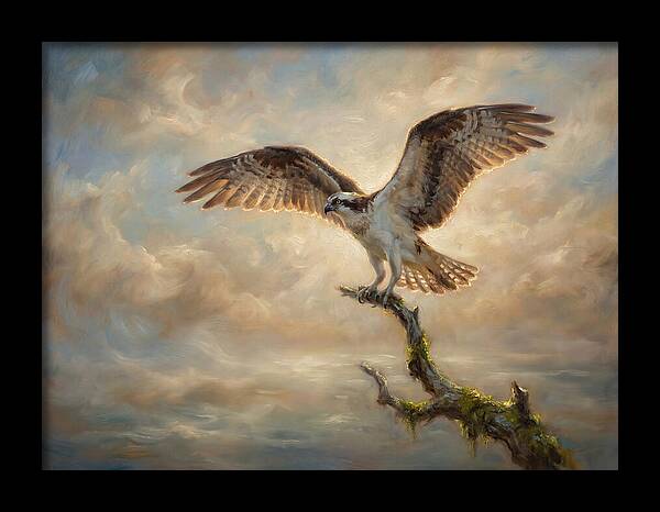 Osprey In Majestic Flight