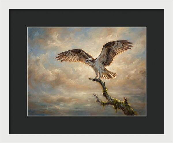 Osprey In Majestic Flight