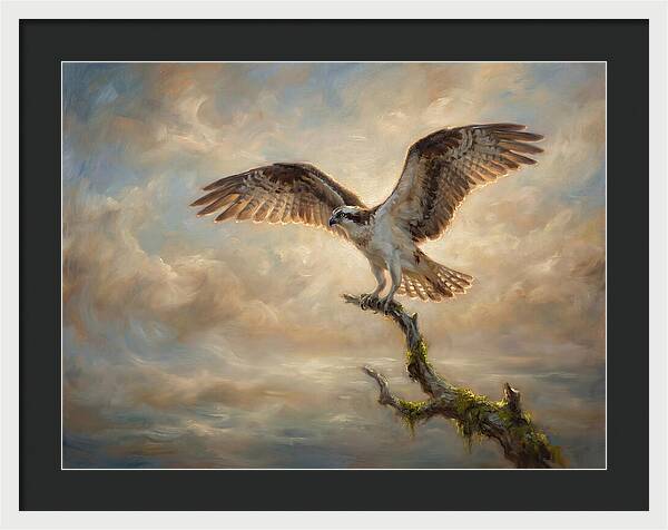 Osprey In Majestic Flight