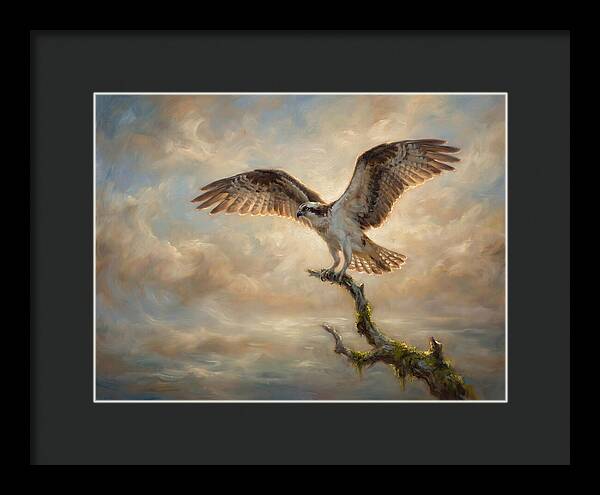 Osprey In Majestic Flight