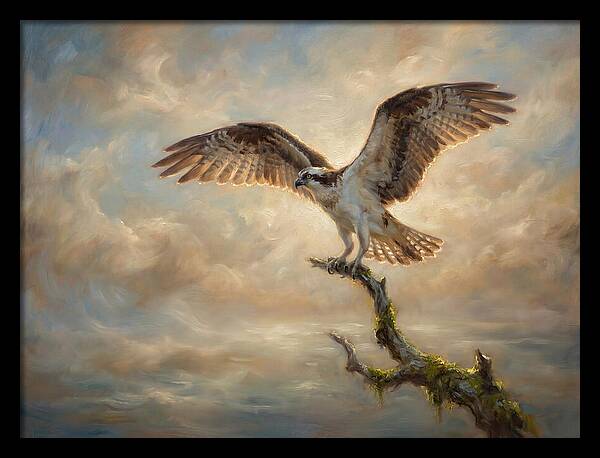 Osprey In Majestic Flight