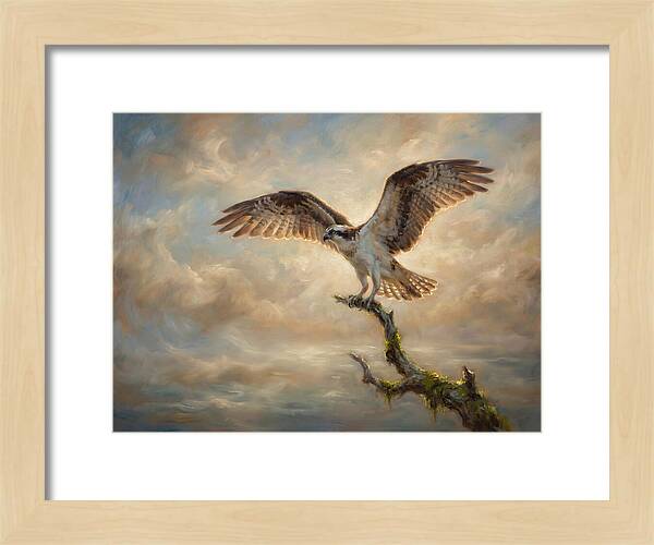 Osprey In Majestic Flight