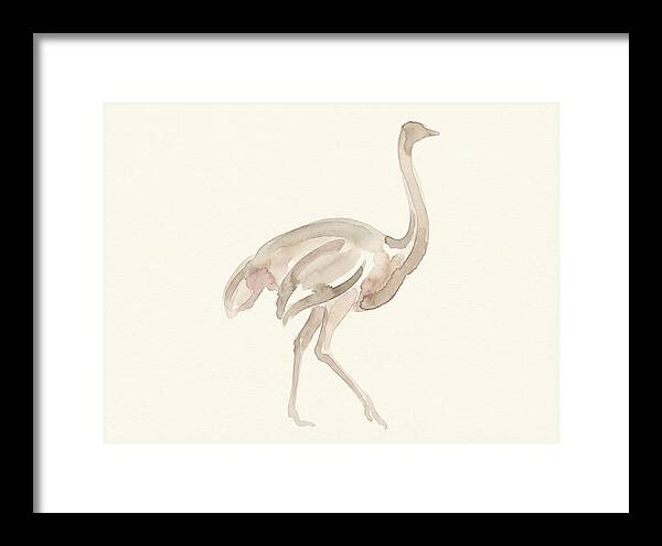 Ostrich In Soft Watercolor