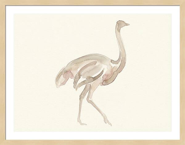 Ostrich In Soft Watercolor