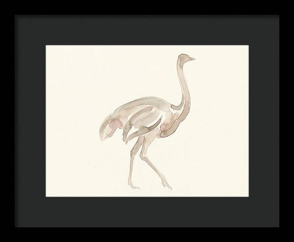 Ostrich In Soft Watercolor