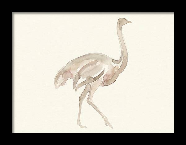 Ostrich In Soft Watercolor