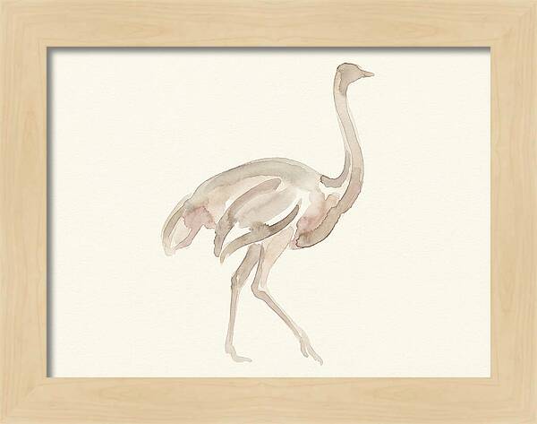 Ostrich In Soft Watercolor