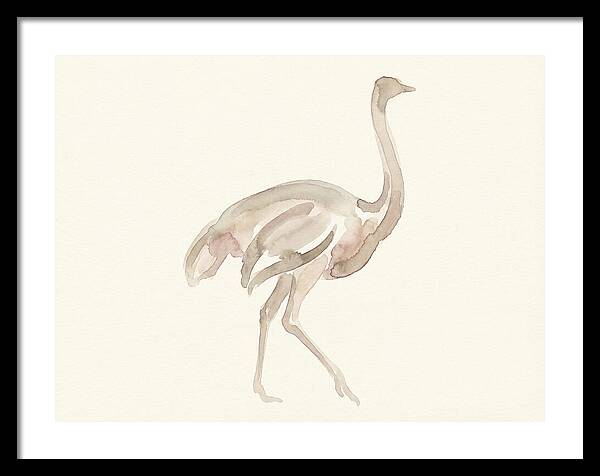 Ostrich In Soft Watercolor