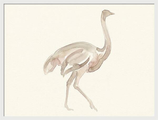 Ostrich In Soft Watercolor
