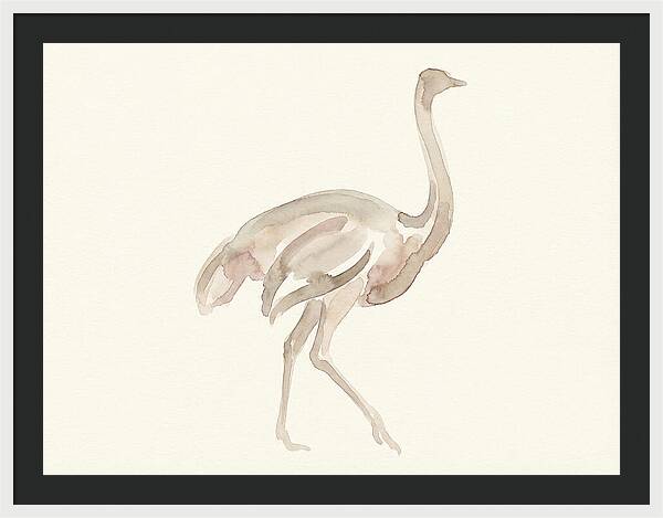 Ostrich In Soft Watercolor