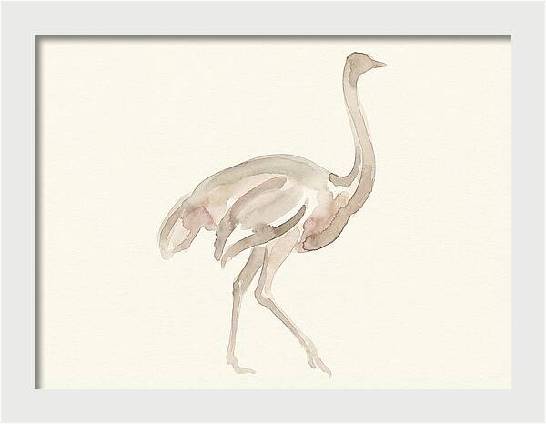 Ostrich In Soft Watercolor
