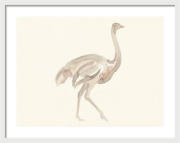 Ostrich In Soft Watercolor