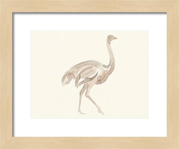 Ostrich In Soft Watercolor