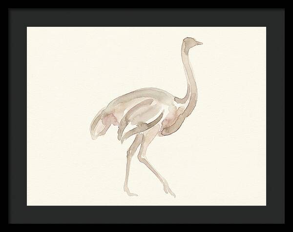 Ostrich In Soft Watercolor