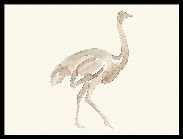 Ostrich In Soft Watercolor