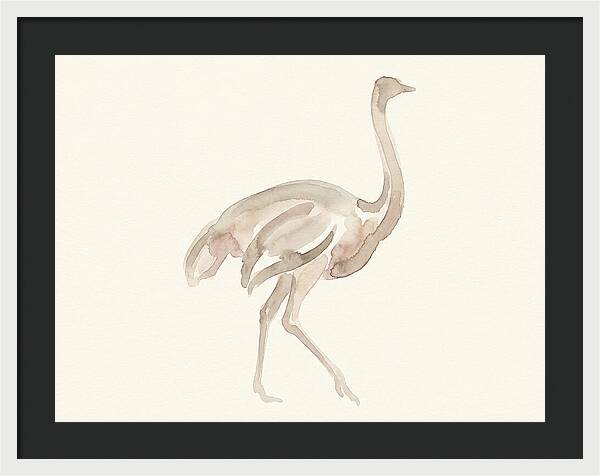 Ostrich In Soft Watercolor