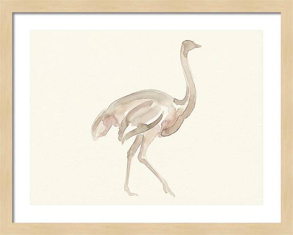 Ostrich In Soft Watercolor