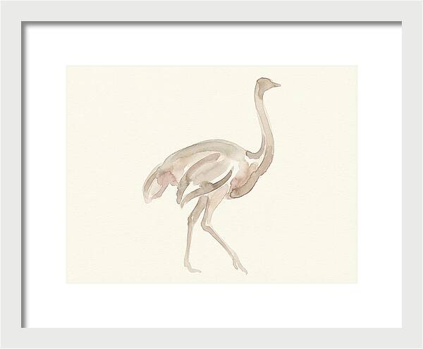 Ostrich In Soft Watercolor