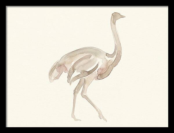 Ostrich In Soft Watercolor