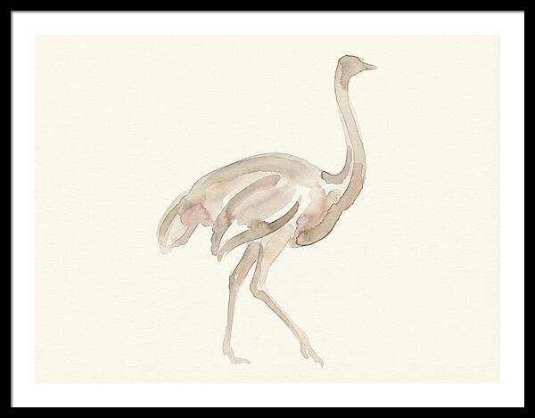 Ostrich In Soft Watercolor