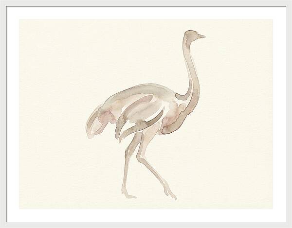 Ostrich In Soft Watercolor