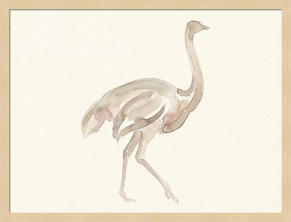Ostrich In Soft Watercolor