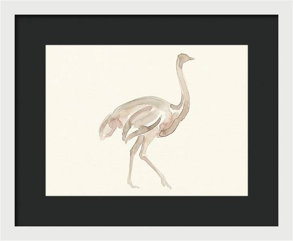 Ostrich In Soft Watercolor