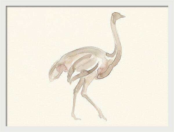 Ostrich In Soft Watercolor