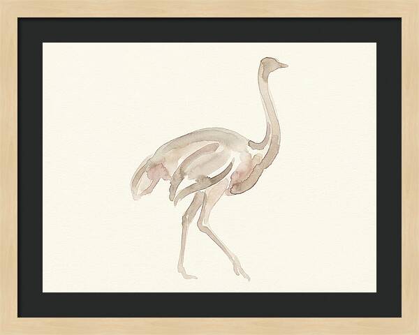 Ostrich In Soft Watercolor