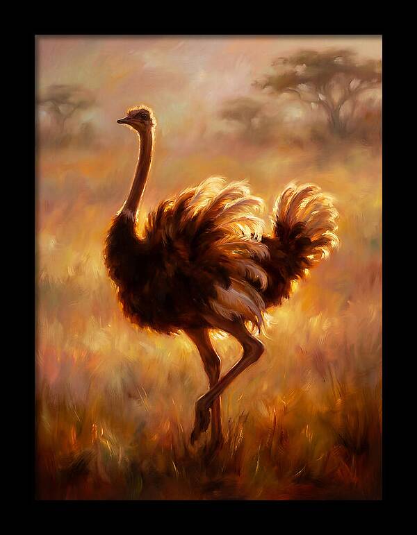 Ostrich In Sunset