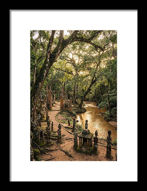 Osun Osogbo Sacred Grove At Golden Hour