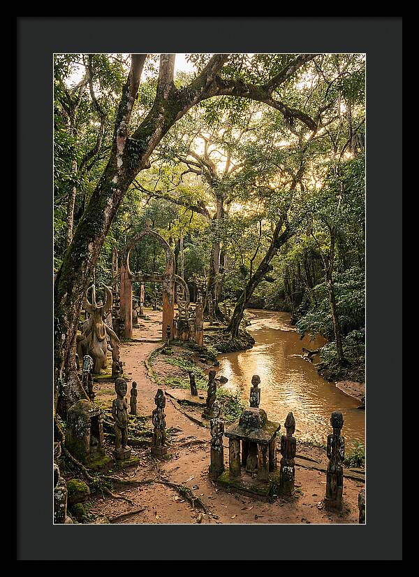 Osun Osogbo Sacred Grove At Golden Hour