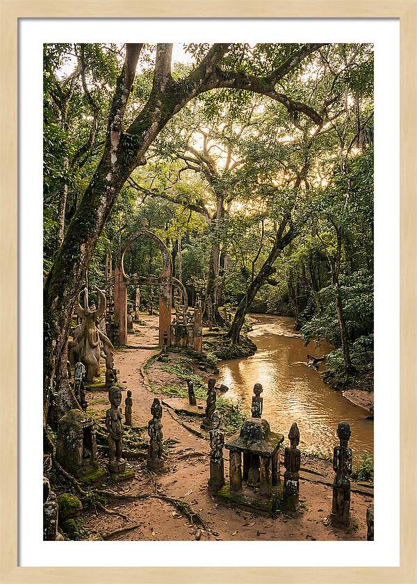 Osun Osogbo Sacred Grove At Golden Hour