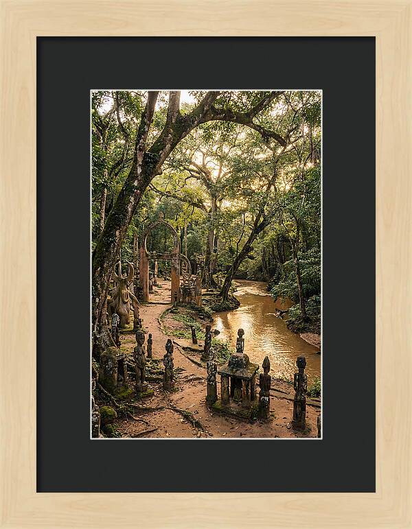 Osun Osogbo Sacred Grove At Golden Hour